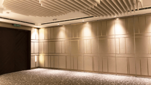 img_conhall_06_CLAZ_Landscape & Communities Developer